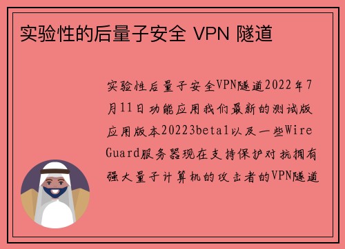 实验性的后量子安全 VPN 隧道 