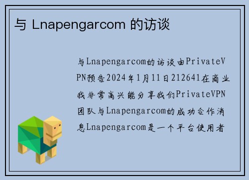 与 Lnapengarcom 的访谈